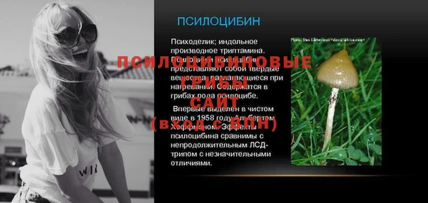 прущий лед Алексин