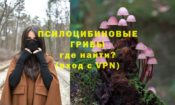 бошки Алзамай