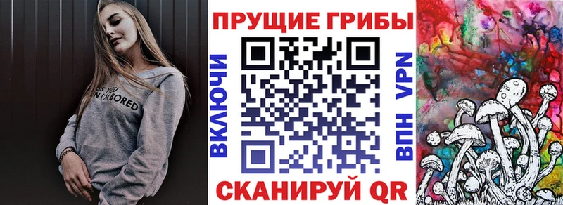 Псилоцибиновые грибы прущие грибы  Купить  Иваново 